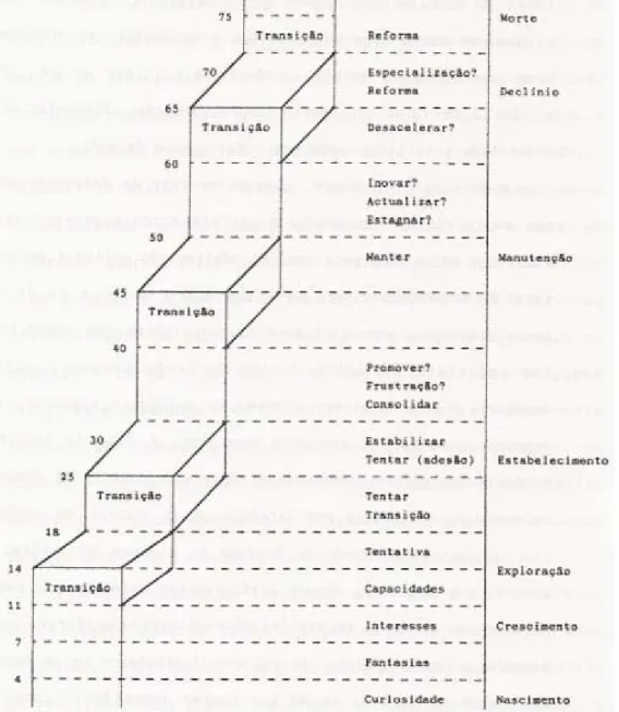 Figura 6 - Fases e subfases do desenvolvimento ao longo da vida. 
