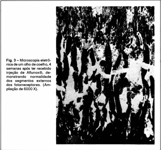 Fig.  3  - Microscopia eletrô­