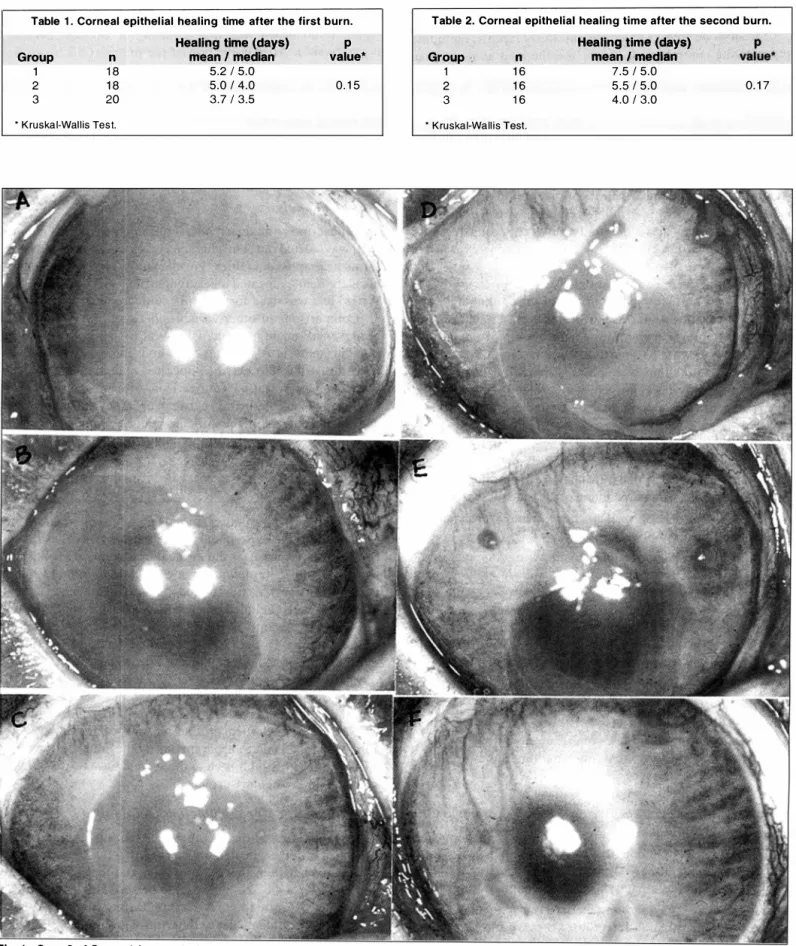 Table  1 .   Corneal epithel ial  healing  time  after the first burn. 