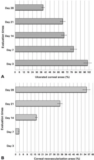 Table 2. Ocular clinical features in a rabbit model of LSCD 
