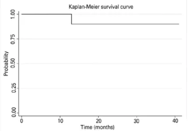 Figure 2. Kaplan–Meier survival curve.