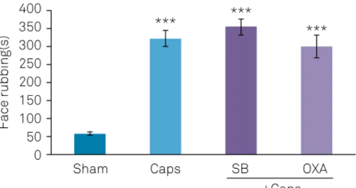 Figure 1. Effects of CA1administration of orexin-A (40 pM)  and SB-334867-A (80 nM) on capsaicin-induced nociceptive  behavior