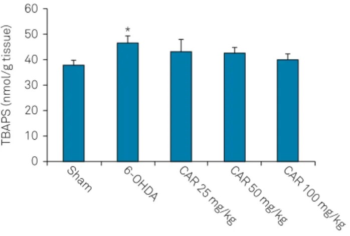 Figure 5. Lipid peroxidation levels in the striatum of the sham,  6-OHDA-lesioned rats and lesioned rats treated with carvacrol  at doses of 25, 50 and 100 mg/kg at the end of week 6