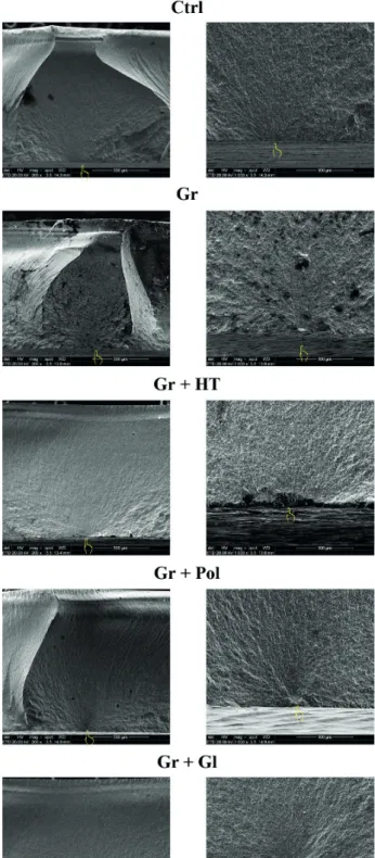 Figure 2. Representative images of the fractography analysis under SEM (200× and 1000× magnification): Typical brittle fracture surfaces, which  clearly shows that the initial crack nucleation and propagation region are located in the lower side of the mic
