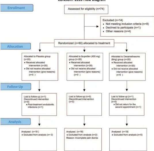 Figure 1. Flow diagram for the included volunteers in each step of the study.
