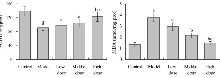 Fig. 4 – Effects of baicalin on myocardial SOD and MDA in rats.
