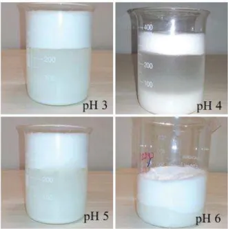 Figura 9. Resultado do ajuste de pH na formação de microcápsulas no tratamento T4. 