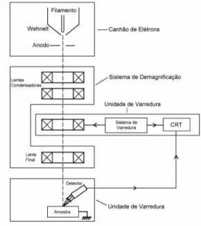 Figura 2.14: Representa¸c˜ao esquem´atica dos componentes do Microsc´opio Eletrˆonico de Varredura.