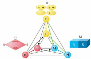 Figura 1. Fluxograma que permite identificar os sistemas multiferróicos mediante a relação  direta (e indireta) entre as variáveis envolvidas (SPALDIN, 2005).