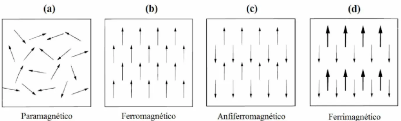 Figura 4. Representação dos diferentes tipos de acoplamentos magnéticos: (a) paramagnético,  (b) ferromagnético, (c) antiferromagnético e (d) ferrimagnético