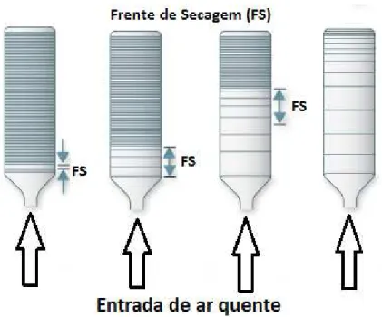 Figura 2.1  –  Esquema de secagem do secador de leito fixo em camadas. 