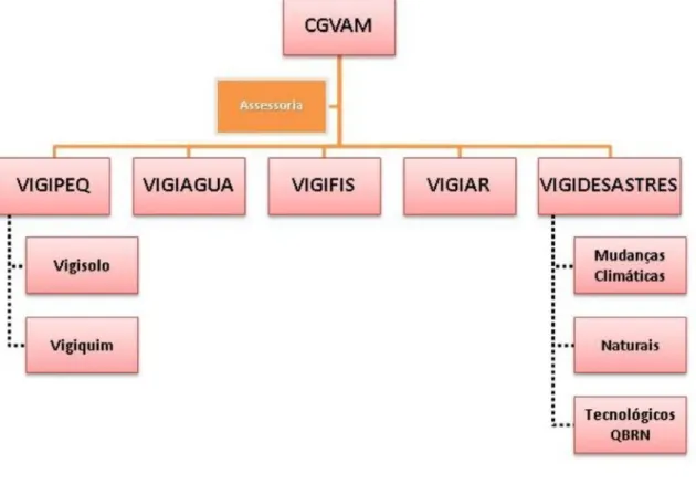 Figura 2 - Organograma da Coordenação Geral de Vigilância Ambiental (CGVAM) - Ministério da Saúde