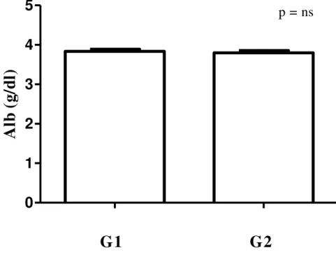 FIGURA 17: Albumina (Alb) sérica dos grupos G1 e G2 