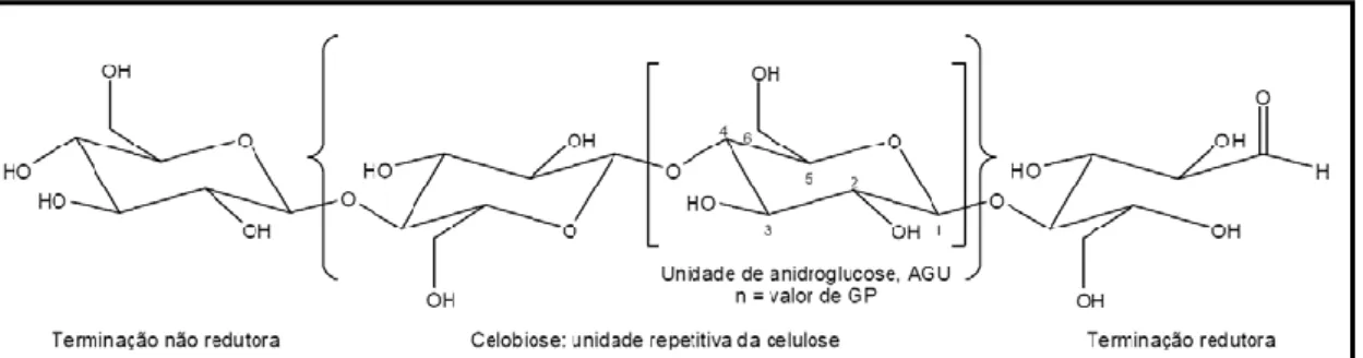 Figura 3: Estrutura molecular da celulose [19]. 