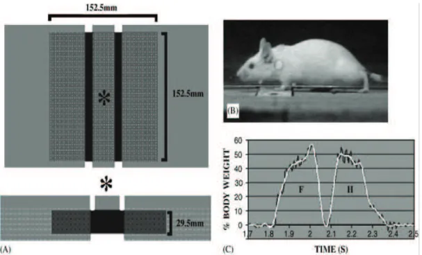 Figura 2.7 – (A) Esquema da placa de recolha dos dados. (B) Imagem do rato com um