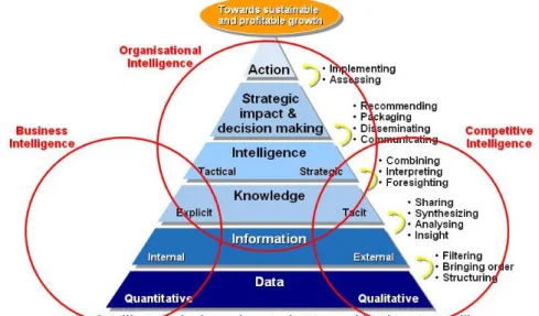 Figura 2.4 – Inteligência Organizacional 9                                                         