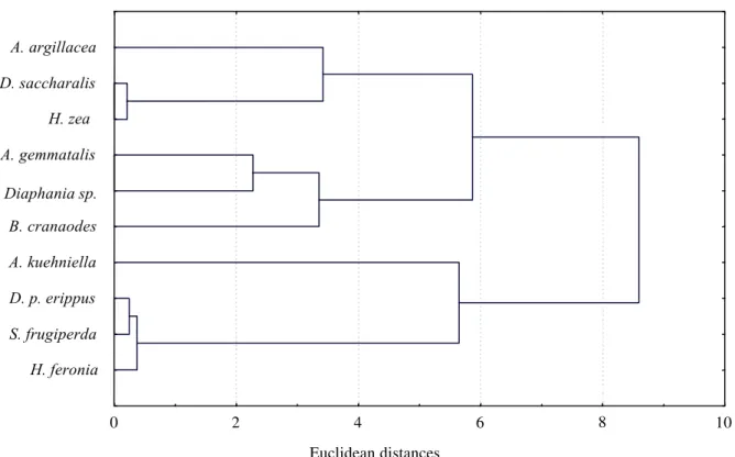 Figure 4. Dendrograph for T. pretiosum specimens obtained from 10 different Lepidoptera hosts based on Euclidian distances computed from scores of relative warps (   = 0).α 