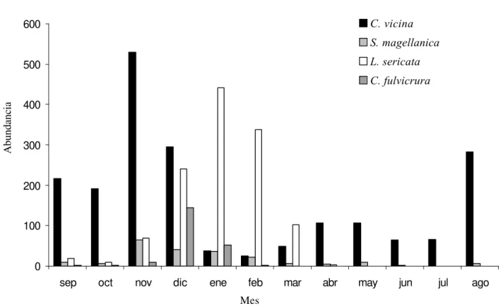 Figura 1. Distribución mensual de cuatro especies de Calliphoridae colectadas en la región de Valdivia, Chile de Septiembre de 1996 a Agosto de 1997.