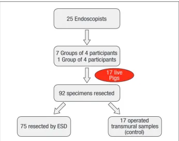 FIGURE 2. Representation of counting the incident points using Image J  [Source: Experimental Air Pollution Laboratory, Department of Pathology  (LIM 05) FMUSP].
