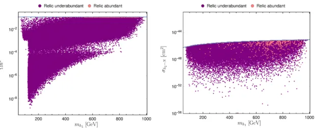 Figure 2. Points that survive all experimental and theoretical constraints. Left: relic density abundance versus dark matter mass where the grey line represents the measured DM relic  abun-dance; points either saturate the relic abundance constraints withi