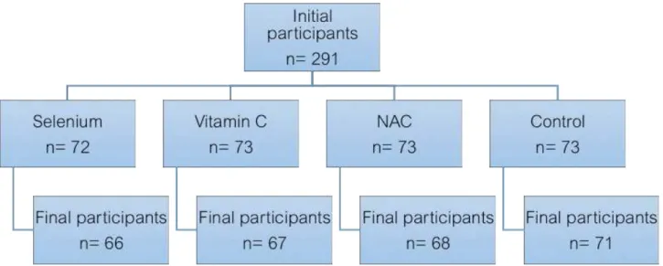 Fig. 1 – Patients’ randomization, initial and final participants.