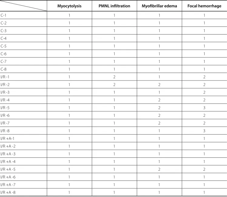 Table 1. The histopathological results of all test groups and the control group.