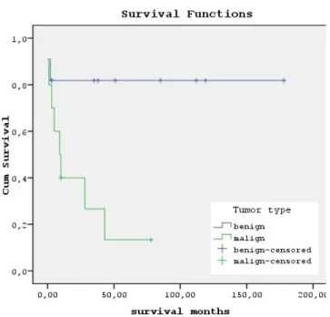 Fig. 2 – Survival curves between the pediatric (blue) and adult  (green) patients. No statistically significant difference between the  groups was observed (P=0.717).