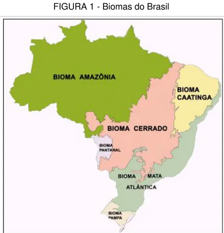 FIGURA 1 - Biomas do Brasil 