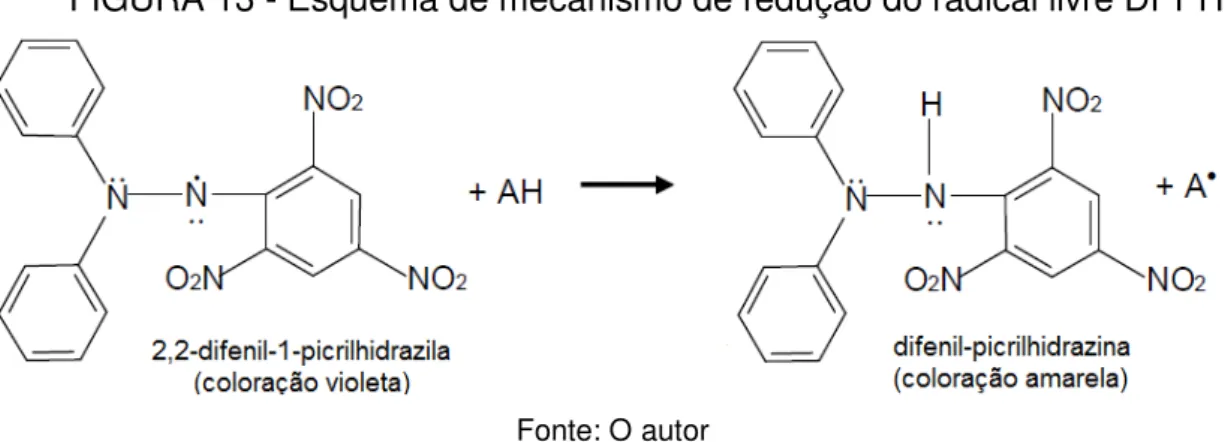 FIGURA 13 - Esquema de mecanismo de redução do radical livre DPPH 