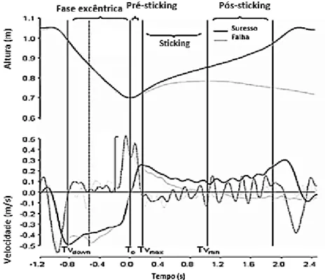Figura 9: Comportamento típico do deslocamento da barra na vertical e velocidade da barra no  movimento descrito por Van den Tillaar e Ettema (2009)