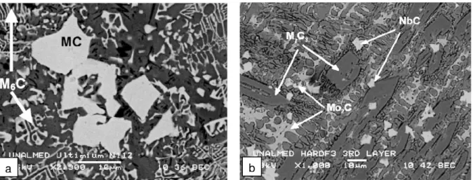 Figura 2.19 – Microestrutura de revestimentos duros: a) rico em W e b) rico em carbonetos  complexos (Buchely et al, 2005)