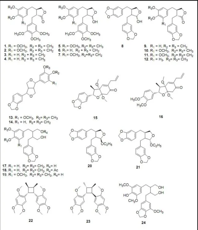 Figura  4.  Lignanas  extraídas  de  P.  cubeba:  cubebininolide  (1),  cubebinone  (2),  yatein  (3),  thujaplicatin trimethylether (4), cubebinin (5), clusin (6), 5-methoxyclusin (7),  cubebin (8),  hinokinin  (9),  isoyatein  (10),  50-methoxyhinokinin 