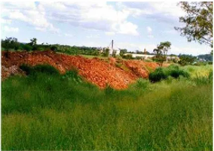 Figura 2.1 – Localização de deposição clandestina de cacos de telhas na periferia da  cidade de Monte Carmelo Fonte: Dias (2004b) 