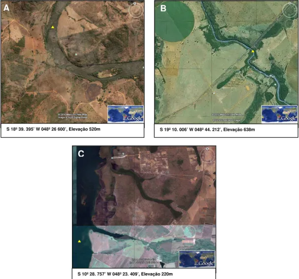 Fig. 1.1 Mapas dos locais de coleta: A) rio Araguari, B) rio Tijuco e  C) lago formado pela  implantação  da  UHE  Luis  Eduardo  Magalhães