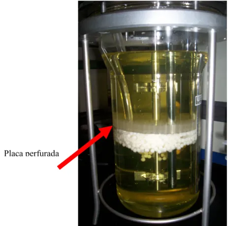 Figura 4.41 Reator utilizado no processo batelada com placa perfurada 