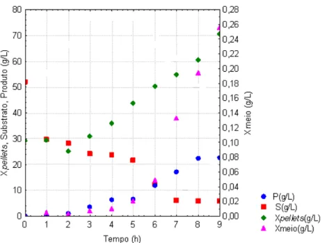 Figura 4.5: Perfis de concentração de substrato, células no meio e no interior dos   e de  etanol no ensaio 1, S 0  = 52,0 g/L e X 0  = 29,0 g/L