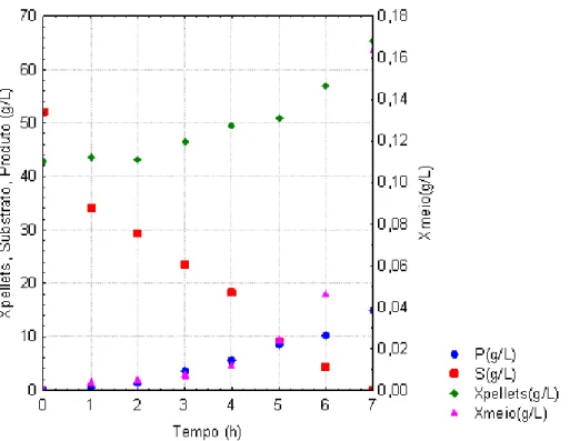 Figura 4.7: Perfis de concentração de substrato, células no meio e no interior dos   e de  etanol no ensaio 3, S 0  = 52,0 g/L e X 0  = 43,0 g/L