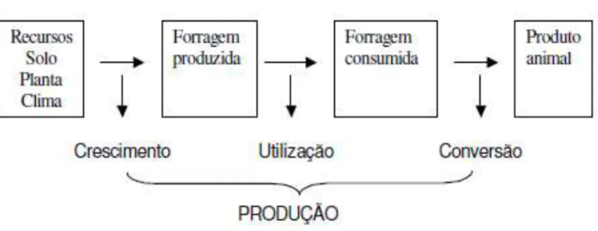Figura 1- Representação esquemática da produção animal em pastagens. 