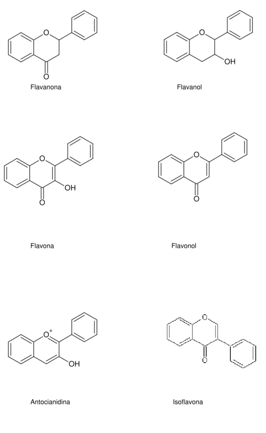 Figura  1.  Estruturas  químicas  das  subclasses  que  compõem  os  flavonóides  (RICE-EVANS et al., 1995; HOLLMAN et al., 1996; MARTÍNEZ-FLÓREZ et al.,  2002) 