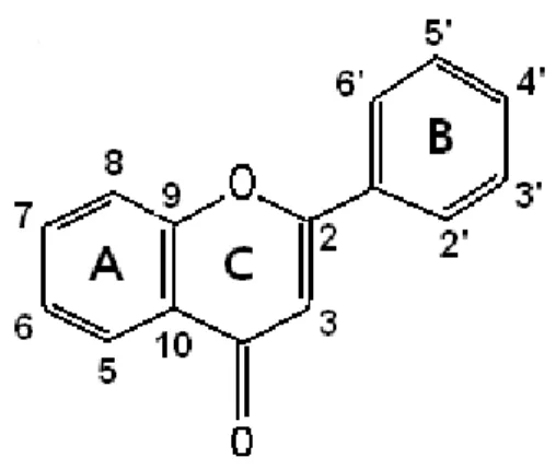 Figura  2.  Núcleo  fundamental  dos  flavonóides  e  sua  numeração  (Fonte: 