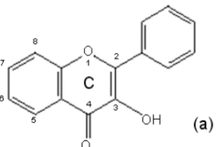 Figura  8.  Formação  da  rutina  a  partir  da  quercetina  –  pertencentes  à  sub- sub-classe  dos  flavonóides  (BRUNETON,  1999;  KHALIFA;  MUHTADI;  HASSAN,  1983; LEHINGER; NELSON; COX,1995)