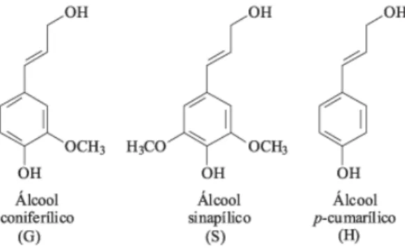 Figura 5 - Álcoois precursores das unidades fenilpropanólicas: guaiacilo (G), siringilo (S) e  hidroxifenilo (H) (Barbosa et al., 2008)