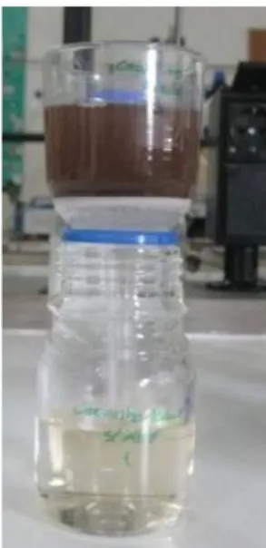 Figura 11 - Filtração por gravidade das amostras hidrolisadas. 