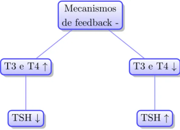 Figura 2.2 – Mecanismos de feedback negativo.