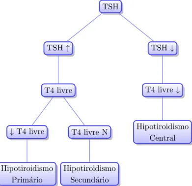 Figura 2.3 – Os diferentes estados de hipotiroidismo (Adaptado de Mnemotecnias (2018).