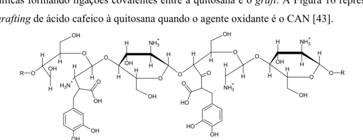 Figura 16 – Grafting de ácido cafeico a quitosana com recurso a CAN. 