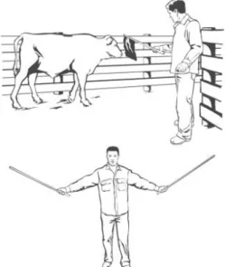 Fig. 17. Utilização de objetos para auxiliar  a movimentação (Stafford, 2005) 