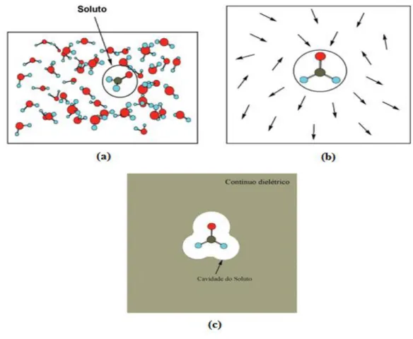 Figura  4  – (a)  Descrição  discreta  do  solvente  em  uma  solução.  (b)  descrição  do  solvente  através  dos  vetores  momento  de  dipolo