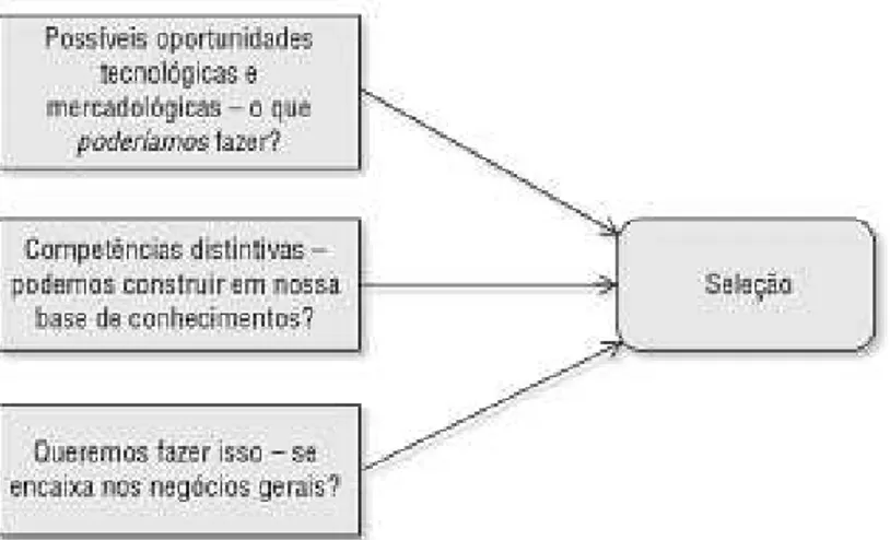 Figura 4 - Questões fundamentais na fase de seleção. 