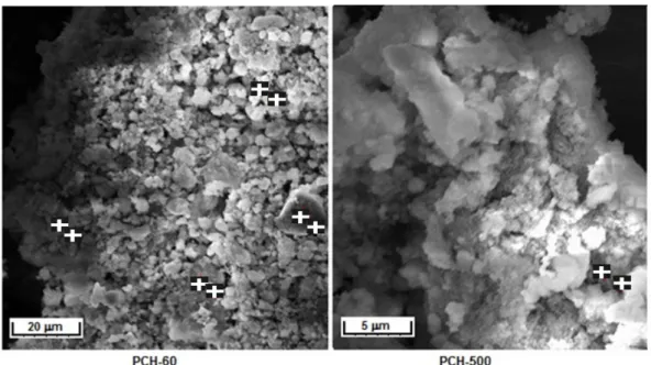 Figure 4. 2- Scanning electron micrographs of PCH 60 and PCH 500 